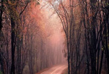 问鼎娱乐下载：考文垂：我很自豪成为首位非洲裔和女性国际奥委会主席.