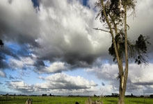 [图]上海申花0-4不敌川崎前锋 总比分1-4无缘亚冠八强.