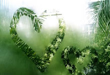 问鼎娱乐下载：篮球——NBA常规赛：凯尔特人胜国王.