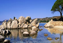 问鼎娱乐下载：[法甲]主场逆转强敌 蒙彼利埃迎久违胜利.